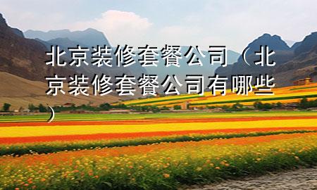 北京装修套餐公司（北京装修套餐公司有哪些）