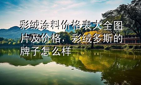 彩绒涂料价格表大全图片及价格，彩绒多斯的牌子怎么样