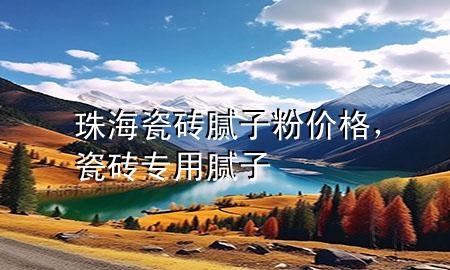珠海瓷砖腻子粉价格，瓷砖专用腻子