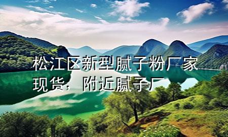 松江区新型腻子粉厂家现货，附近腻子厂