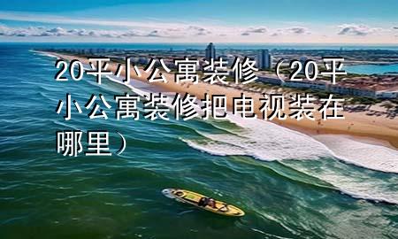 20平小公寓装修（20平小公寓装修把电视装在哪里）