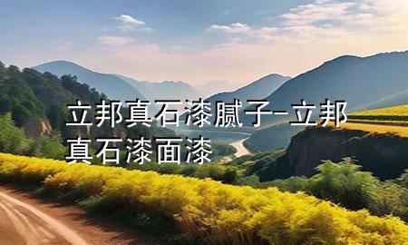 立邦真石漆腻子-立邦真石漆面漆