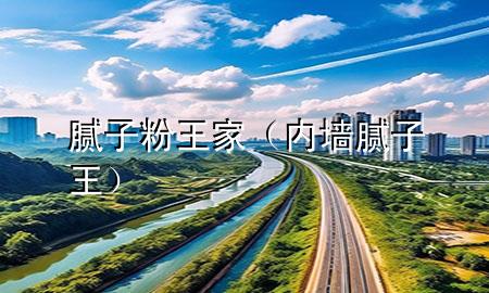腻子粉王家（内墙腻子王）