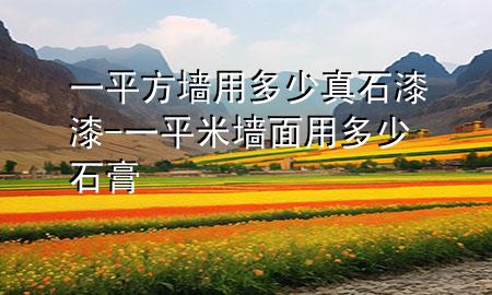 一平方墙用多少真石漆漆-一平米墙面用多少石膏