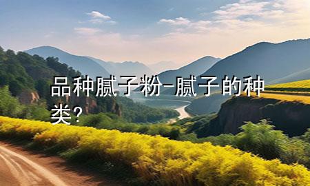 品种腻子粉-腻子的种类?