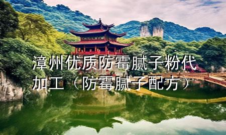 漳州优质防霉腻子粉代加工（防霉腻子配方）