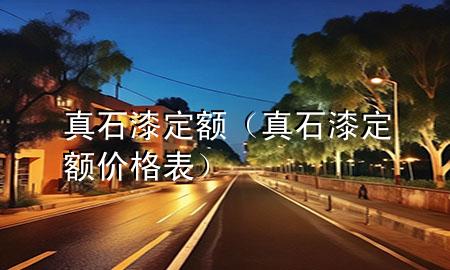 真石漆 定额（真石漆定额价格表）
