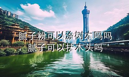 腻子粉可以涂树木吗吗，腻子可以抹木头吗