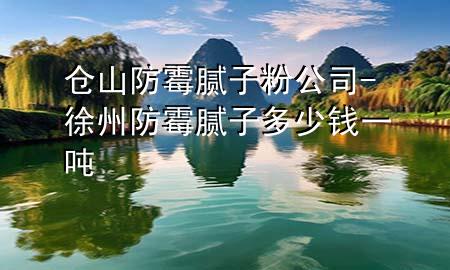仓山防霉腻子粉公司-徐州防霉腻子多少钱一吨