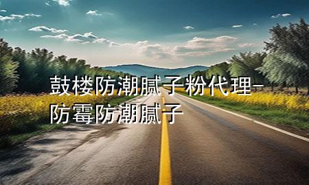 鼓楼防潮腻子粉代理-防霉防潮腻子