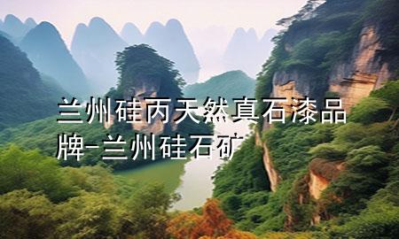 兰州硅丙天然真石漆品牌-兰州硅石矿