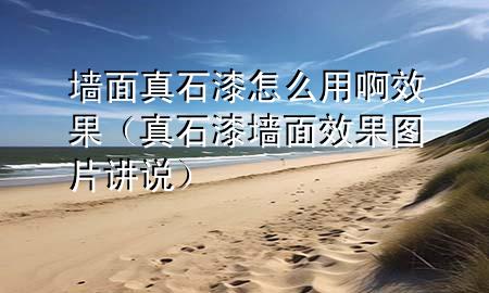 墙面真石漆怎么用啊效果（真石漆墙面效果图片讲说）