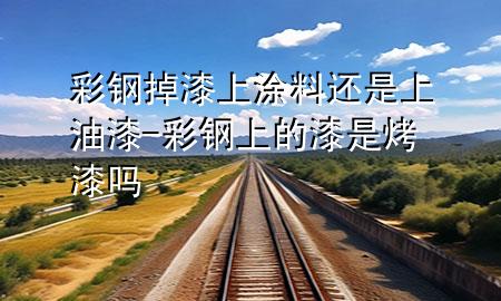 彩钢掉漆上涂料还是上油漆-彩钢上的漆是烤漆吗