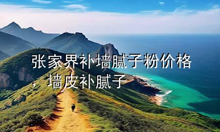张家界补墙腻子粉价格，墙皮补腻子