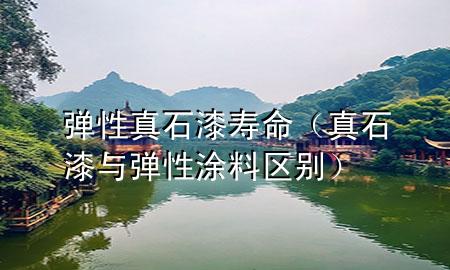 弹性真石漆寿命（真石漆与弹性涂料区别）