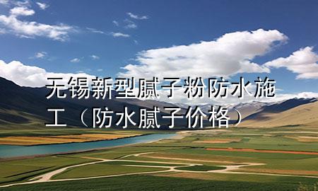 无锡新型腻子粉防水施工（防水腻子价格）
