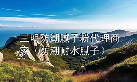 三明防潮腻子粉代理商家（防潮耐水腻子）