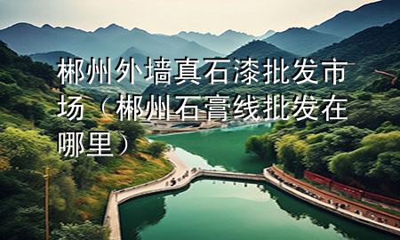 郴州外墙真石漆批发市场（郴州石膏线批发在哪里）