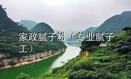 家政腻子粉（专业腻子工）