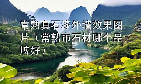 常熟真石漆外墙效果图片（常熟市石材哪个品牌好）