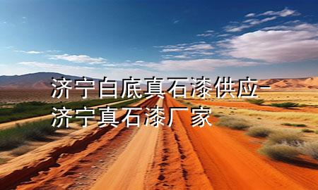 济宁白底真石漆供应-济宁真石漆厂家