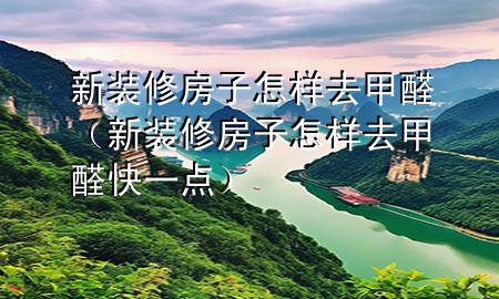 新装修房子怎样去甲醛（新装修房子怎样去甲醛快一点）