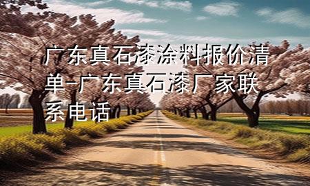 广东真石漆涂料报价清单-广东真石漆厂家联系电话