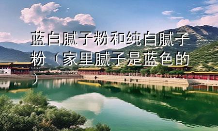 蓝白腻子粉和纯白腻子粉（家里腻子是蓝色的）