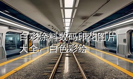 白彩涂料数码印花图片大全，白色彩绘