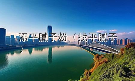 添平腻子粉（找平腻子）