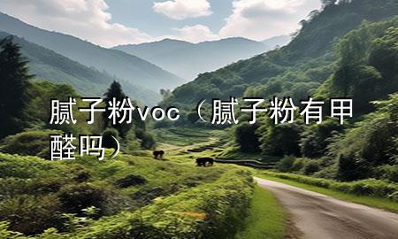 腻子粉 voc（腻子粉有甲醛吗）