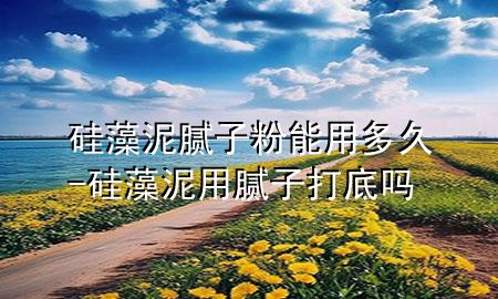 硅藻泥腻子粉能用多久-硅藻泥用腻子打底吗