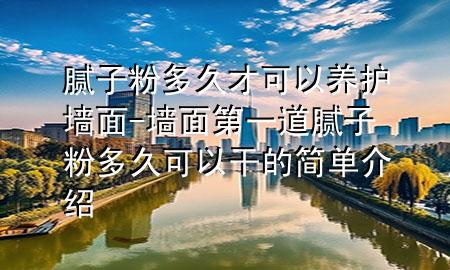 腻子粉多久才可以养护墙面-墙面第一道腻子粉多久可以干的简单介绍