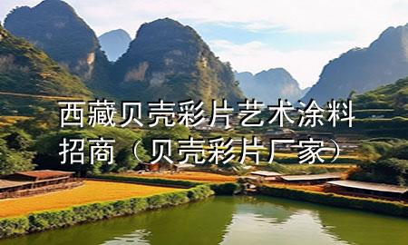 西藏贝壳彩片艺术涂料招商（贝壳彩片厂家）
