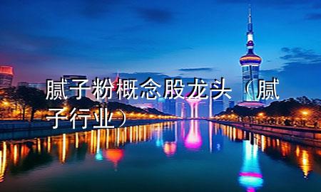 腻子粉概念股龙头（腻子行业）