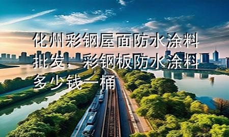 化州彩钢屋面防水涂料批发，彩钢板防水涂料多少钱一桶