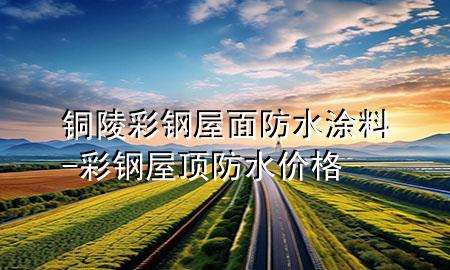 铜陵彩钢屋面防水涂料-彩钢屋顶防水价格