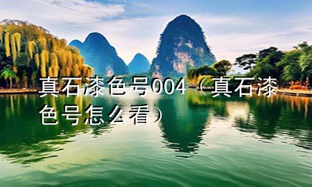 真石漆色号004（真石漆色号怎么看）