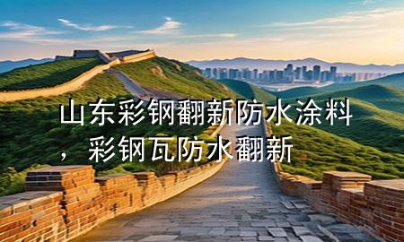 山东彩钢翻新防水涂料，彩钢瓦防水翻新