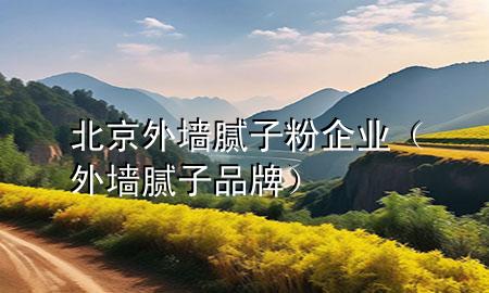 北京外墙腻子粉企业（外墙腻子 品牌）
