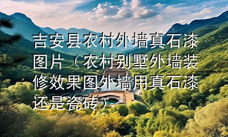 吉安县农村外墙真石漆图片（农村别墅外墙装修效果图外墙用真石漆还是瓷砖）