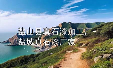 盐山县真石漆加工厂-盐城真石漆厂家