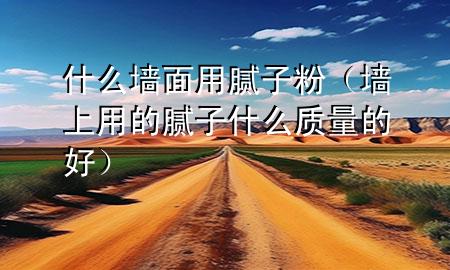 什么墙面用腻子粉（墙上用的腻子什么质量的好）