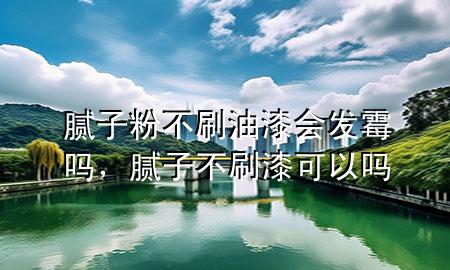 腻子粉不刷油漆会发霉吗，腻子不刷漆可以吗