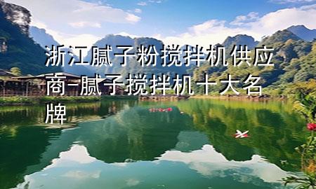 浙江腻子粉搅拌机供应商-腻子搅拌机十大名牌