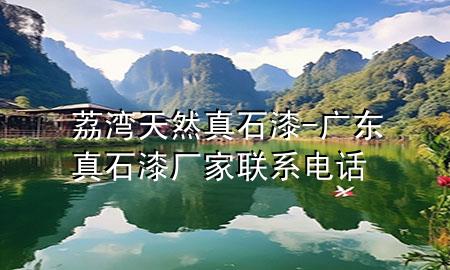 荔湾天然真石漆-广东真石漆厂家联系电话