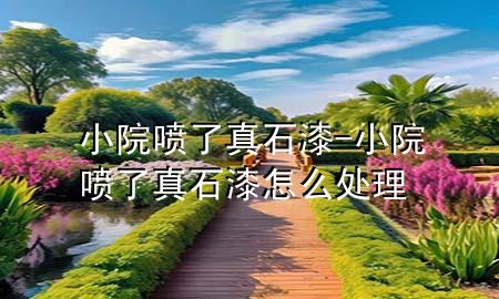 小院喷了真石漆-小院喷了真石漆怎么处理