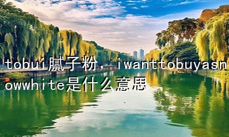 tobui腻子粉，i wanttobuyasnowwhite是什么意思