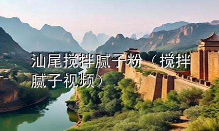 汕尾搅拌腻子粉（搅拌腻子视频）
