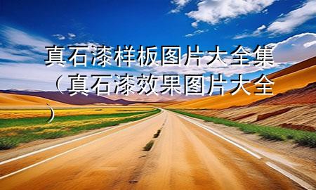 真石漆样板图片大全集（真石漆效果图片大全）